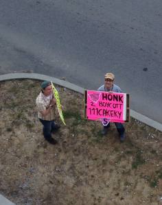 There has been a LOT of honking on our street this afternoon!