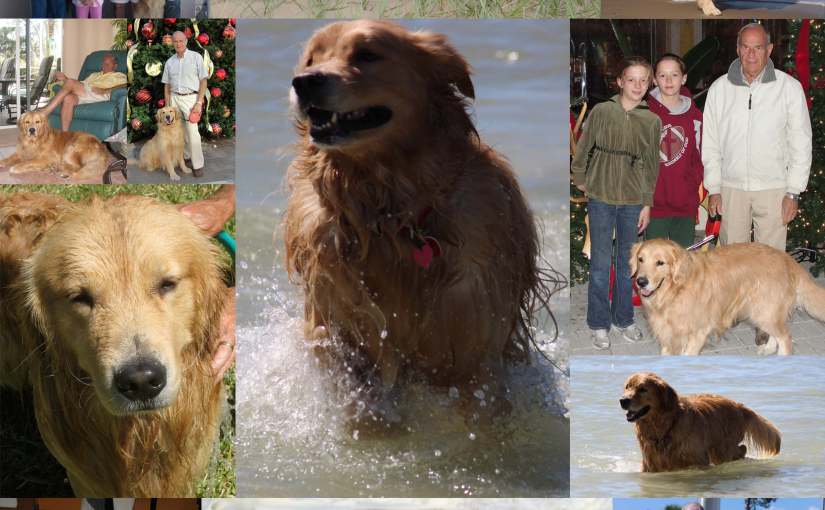 The blabbering of an ex-Facebooker, thirsty for e-contact with the&nbsp;e-world…