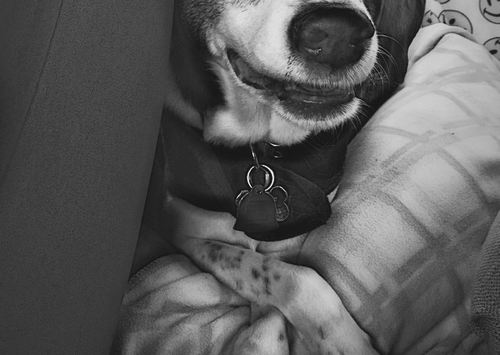 Humble and Kind, for Hunter&nbsp;Max…