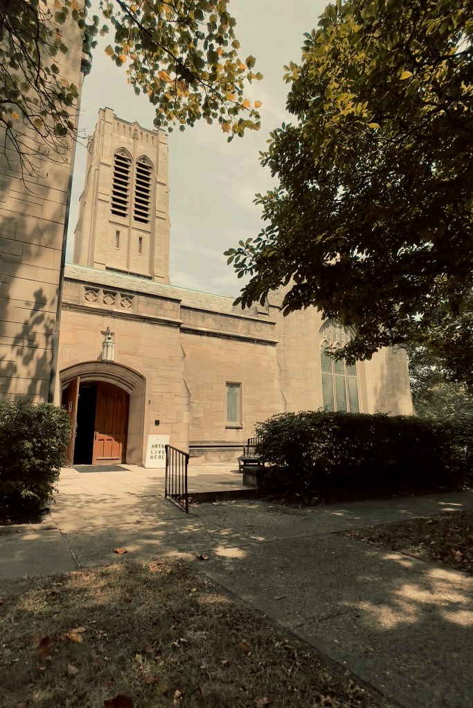 Abundance Continuance Wide Shot