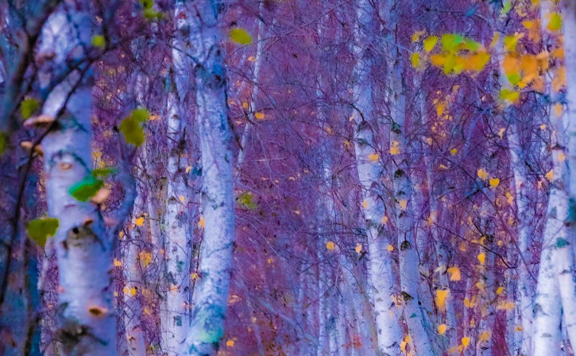 Learning to Be an&nbsp;Artist